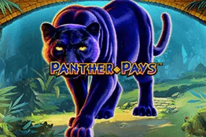 Playtech : Panther Pays - HONEYSLOT777