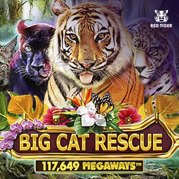 Redtiger : Big Cat Rescue Megaways - HONEYSLOT777