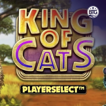 King of Cats - HONEYSLOT777