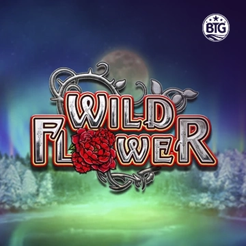 Wild Flower - HONEYSLOT777