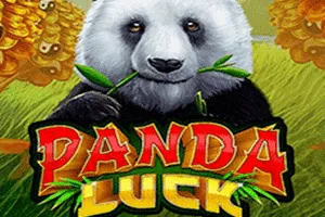 Playtech : Panda Luck - HONEYSLOT777